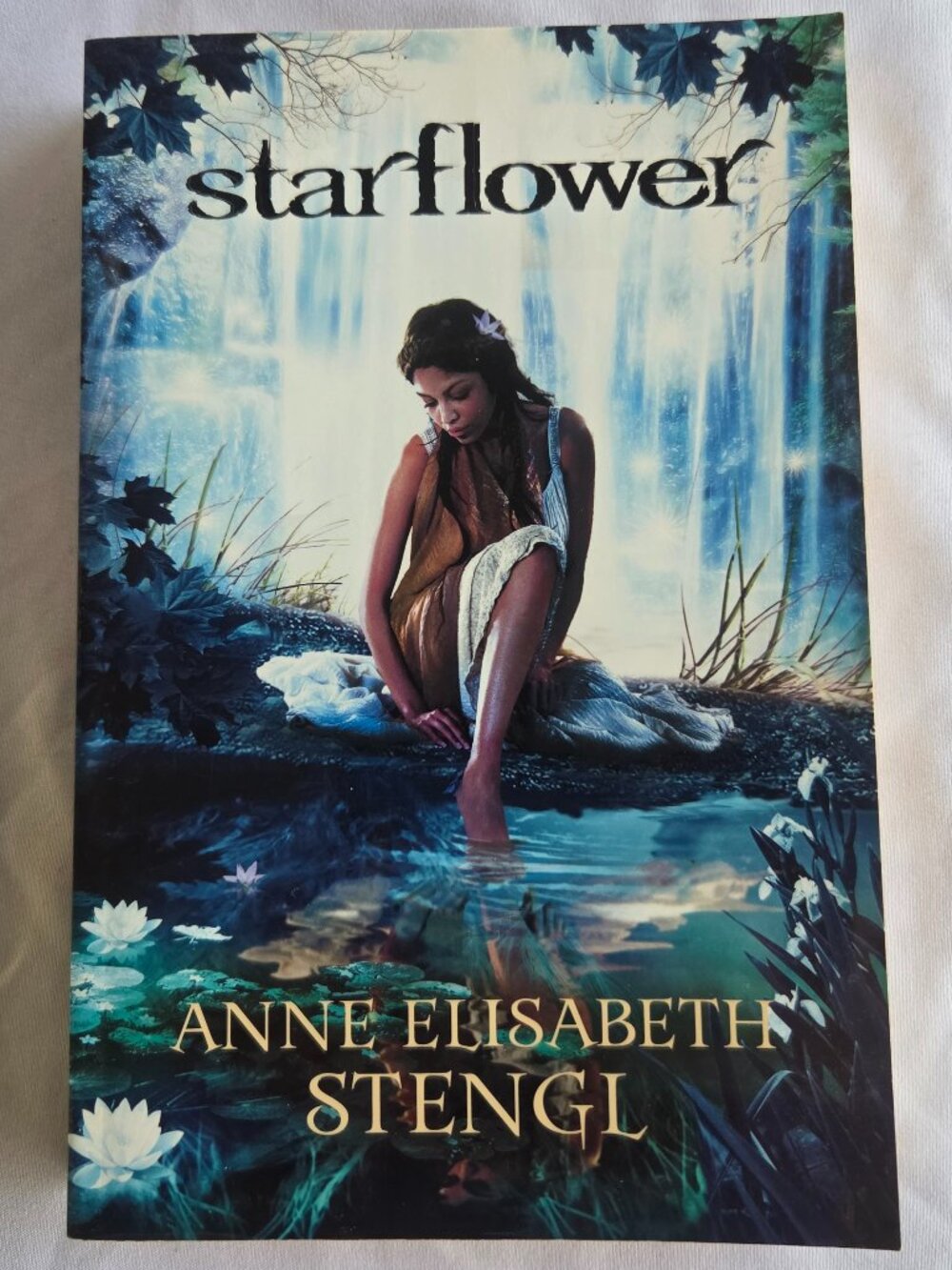Starflower Anne Elisabeth Stengl Paperback Tales of Goldstone Wood Book 4 YA Fan